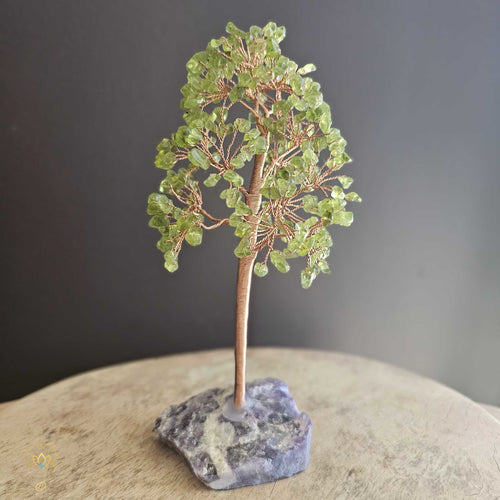 Prehnite Crystal Tree | Perspective & Illumination