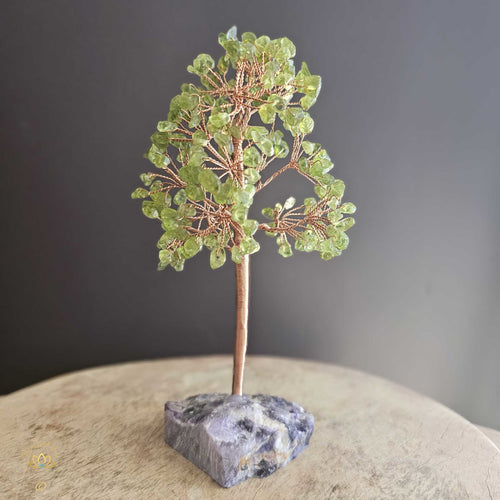 Prehnite Crystal Tree | Perspective & Illumination