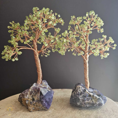 Prehnite Crystal Tree | Perspective & Illumination