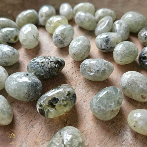 Prehnite & Epidote Tumbled Stones