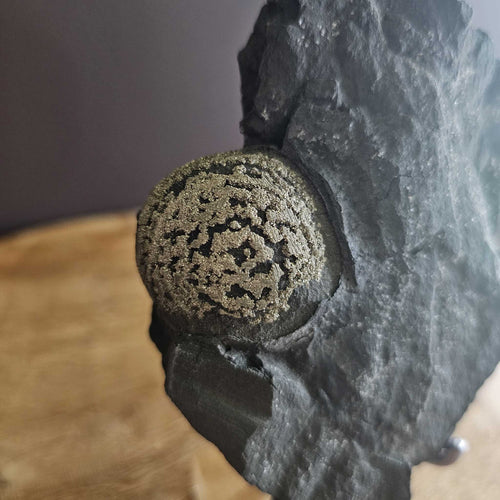 Pyrite Concretion Ball on Shale Matrix | Specimen 317gms