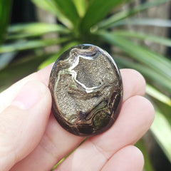 Pyritised Septarian Cabochon | 19gms