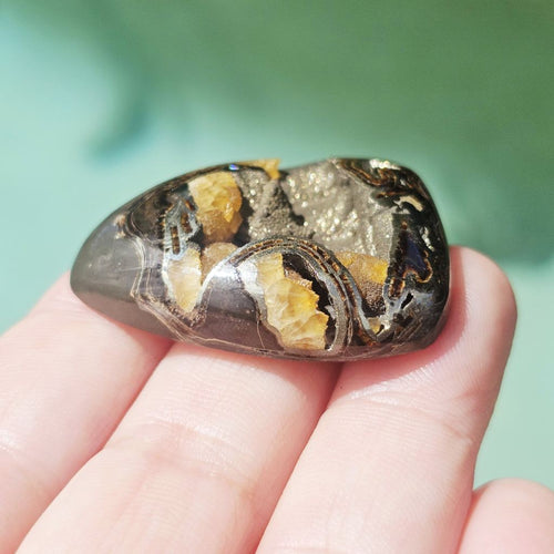 Pyritised Septarian Cabochon | 21gms