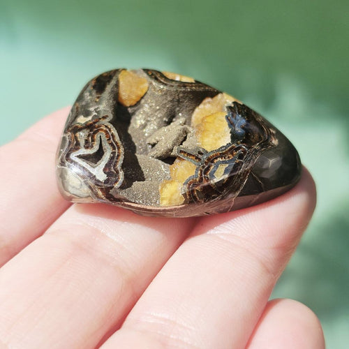 Pyritised Septarian Cabochon | 21gms