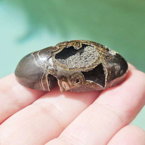 Pyritised Septarian Cabochon | 26gms