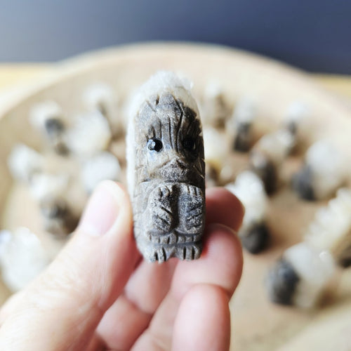 Quartz Hedgehogs | Crystal Quill Keepers