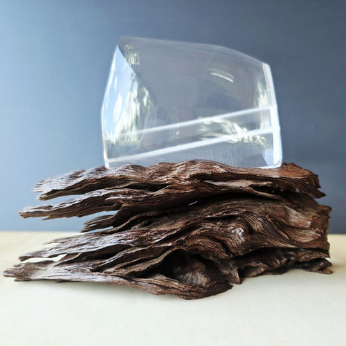Rabbit Hair Rutile Quartz Collector Specimen | 1.1kgs