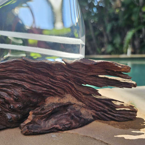 Rabbit Hair Rutile Quartz Collector Specimen | 1.1kgs