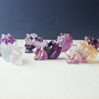 Rainbow Fluorite 9 Tail Foxes| The 9 Tails Collective