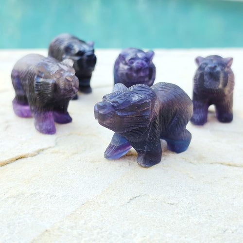 Rainbow Fluorite Bear Carvings | Stand Your Ground