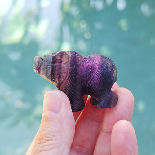 Rainbow Fluorite Bear Carvings | Stand Your Ground