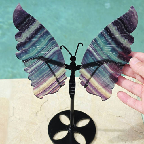 Rainbow Fluorite Butterfly Wings On Stand | Wings Of Change