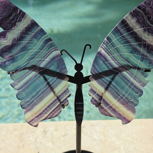 Rainbow Fluorite Butterfly Wings On Stand | Wings Of Change