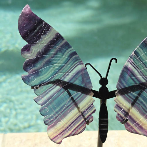 Rainbow Fluorite Butterfly Wings On Stand | Wings Of Change
