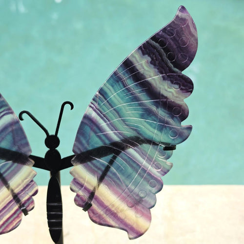 Rainbow Fluorite Butterfly Wings On Stand | Wings Of Change