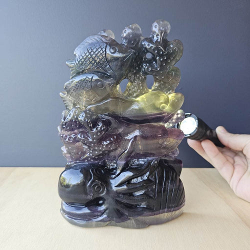 Rainbow Fluorite Carving | Rainbow Reefscape