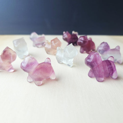 Rainbow Fluorite Cats| Rainbow Mystics