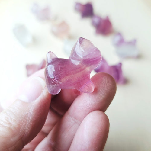 Rainbow Fluorite Cats| Rainbow Mystics