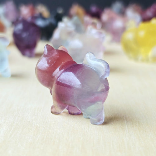 Rainbow Fluorite Cats | Rainbow Mystics