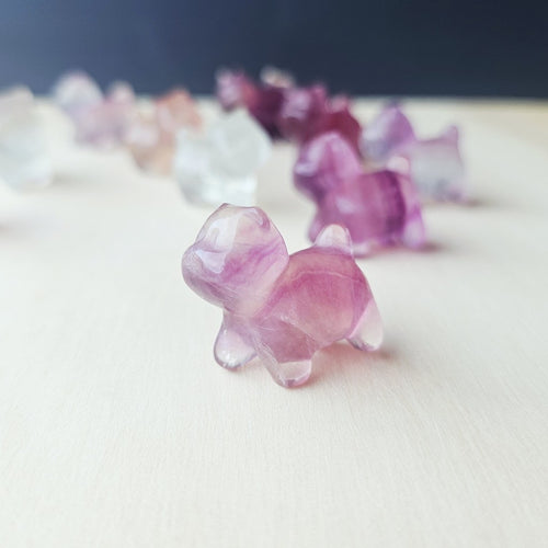 Rainbow Fluorite Cats| Rainbow Mystics