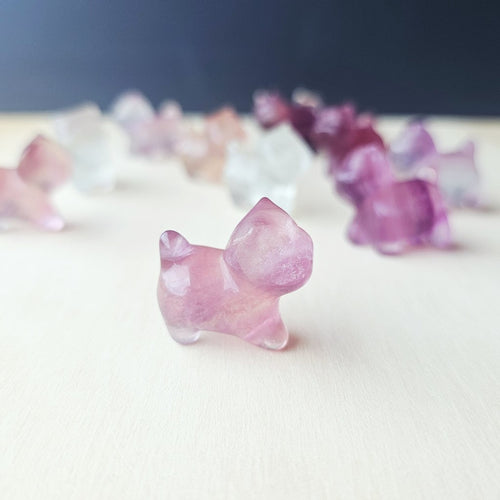 Rainbow Fluorite Cats| Rainbow Mystics