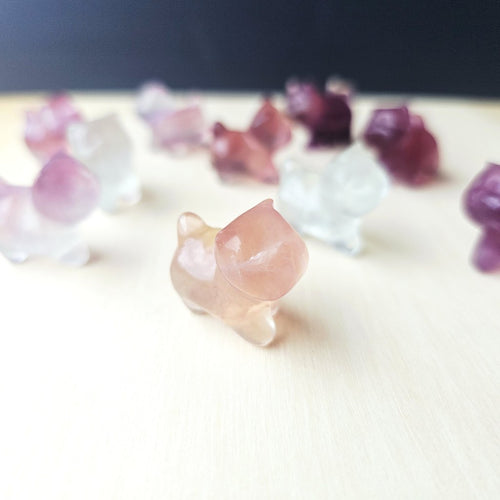 Rainbow Fluorite Cats| Rainbow Mystics