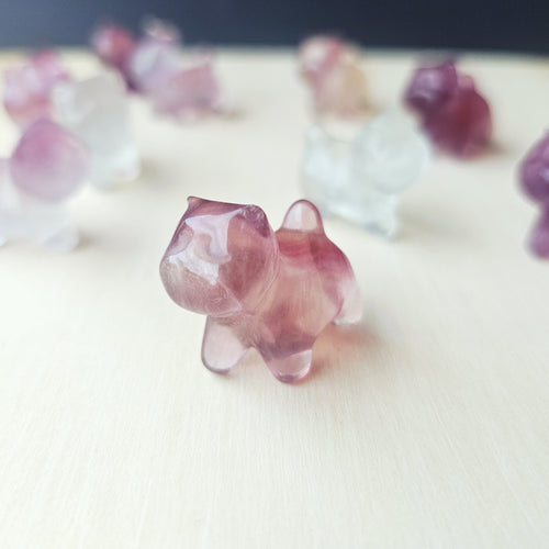 Rainbow Fluorite Cats| Rainbow Mystics