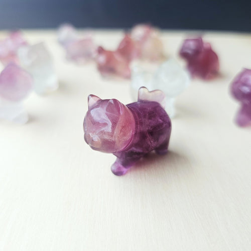 Rainbow Fluorite Cats| Rainbow Mystics