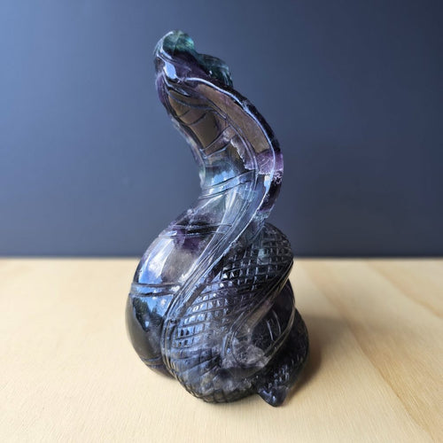 Rainbow Fluorite Cobra | Serpent Of The Spectrum
