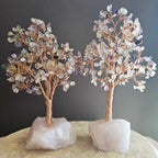 Rainbow Fluorite Crystal Tree | Clarity