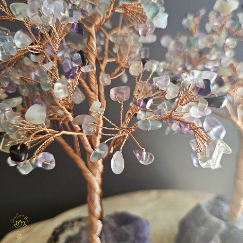 Rainbow Fluorite Crystal Tree | Clarity & Relaxation