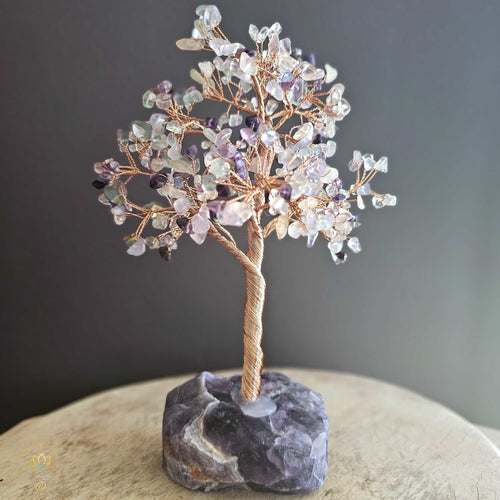 Rainbow Fluorite Crystal Tree | Clarity & Relaxation