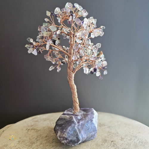 Rainbow Fluorite Crystal Tree | Clarity & Relaxation