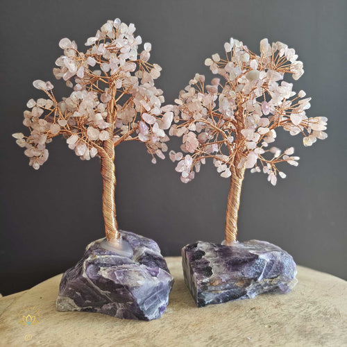 Rainbow Fluorite Crystal Tree | Clarity & Relaxation