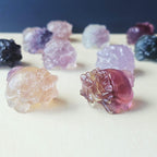 Rainbow Fluorite Dragon Turtles | Banded Light Guardians