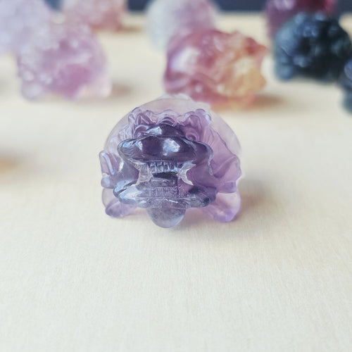 Rainbow Fluorite Dragon Turtles | Banded Light Guardians