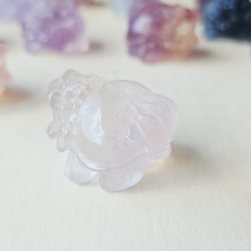 Rainbow Fluorite Dragon Turtles | Banded Light Guardians