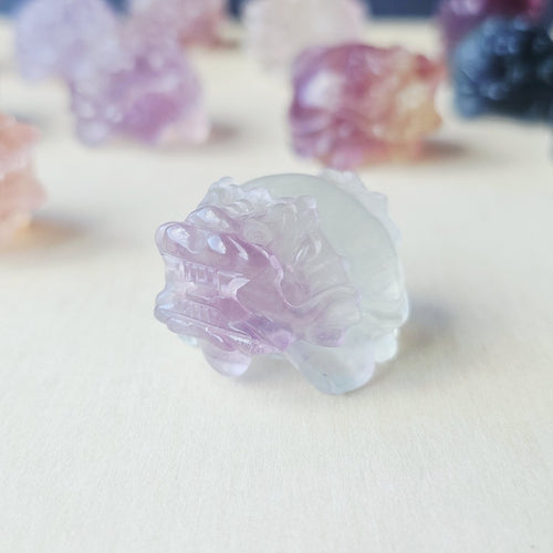 Rainbow Fluorite Dragon Turtles | Banded Light Guardians