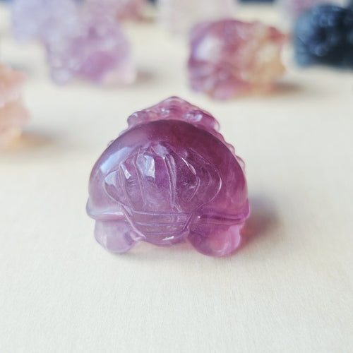 Rainbow Fluorite Dragon Turtles | Banded Light Guardians