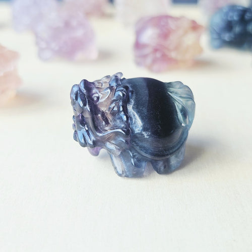 Rainbow Fluorite Dragon Turtles | Banded Light Guardians