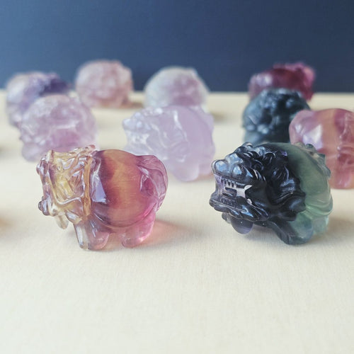 Rainbow Fluorite Dragon Turtles | Banded Light Guardians