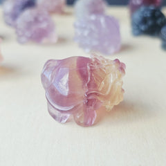 Rainbow Fluorite Dragon Turtles | Banded Light Guardians