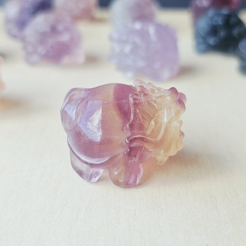Rainbow Fluorite Dragon Turtles | Banded Light Guardians