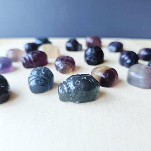 Rainbow Fluorite Ladybug | The Lucky Ladybirds