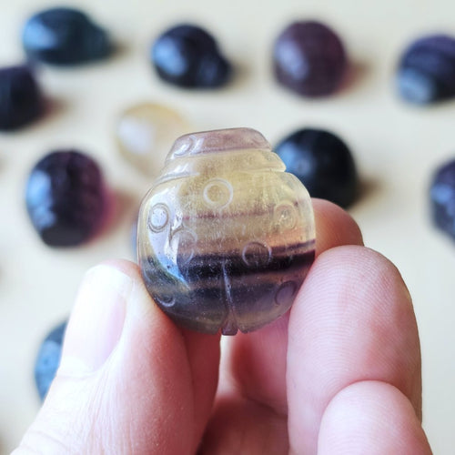 Rainbow Fluorite Ladybug | The Lucky Ladybirds