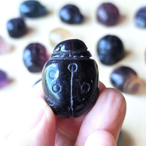 Rainbow Fluorite Ladybug | The Lucky Ladybirds