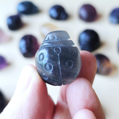 Rainbow Fluorite Ladybug | The Lucky Ladybirds