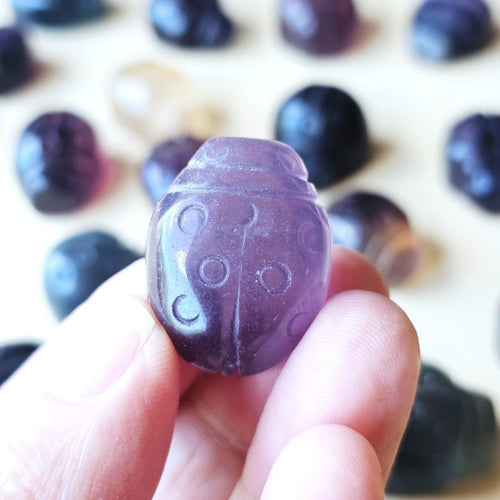Rainbow Fluorite Ladybug | The Lucky Ladybirds