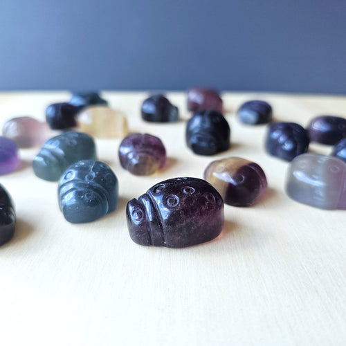 Rainbow Fluorite Ladybug | The Lucky Ladybirds
