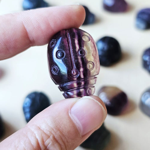 Rainbow Fluorite Ladybug | The Lucky Ladybirds